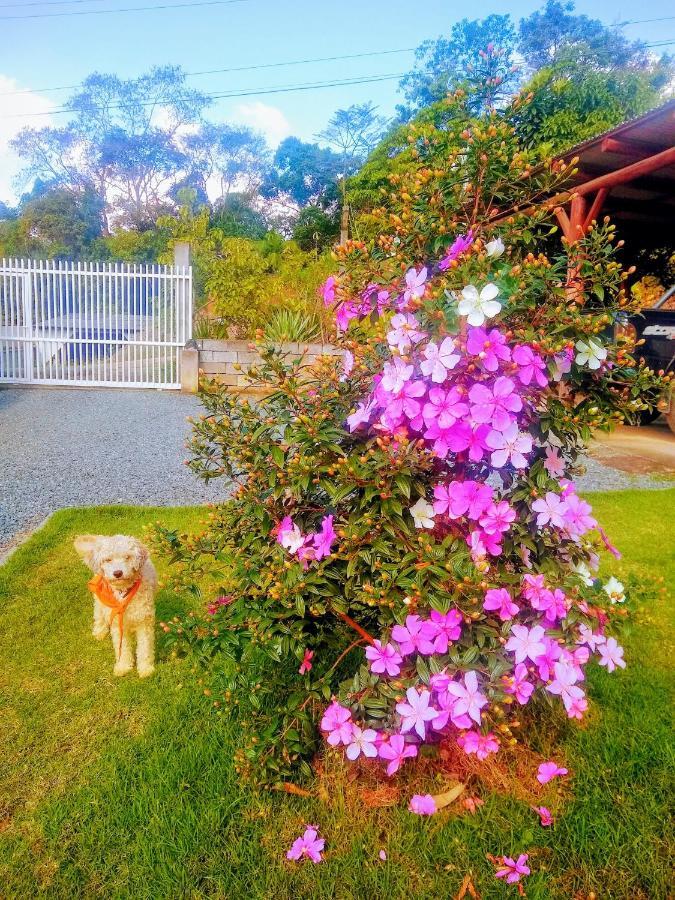Le Petit Cherie Blumenau Exterior foto